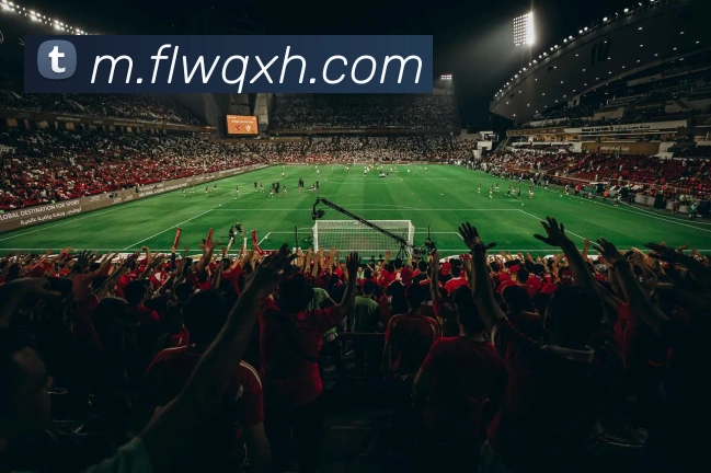 未来规划